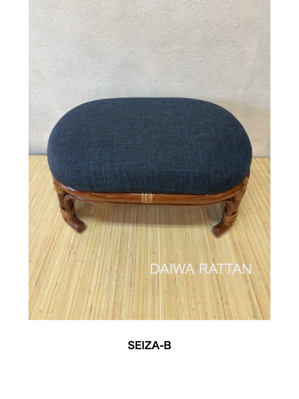 SEIZA-B