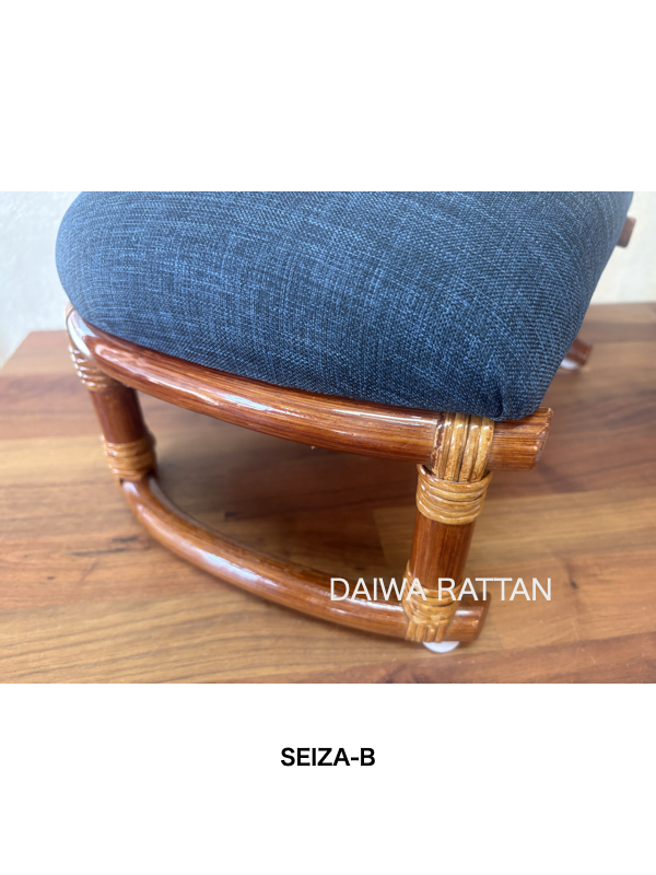 SEIZA-B