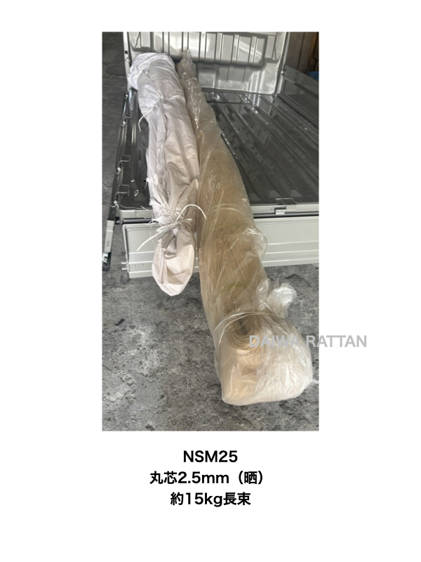NSM25