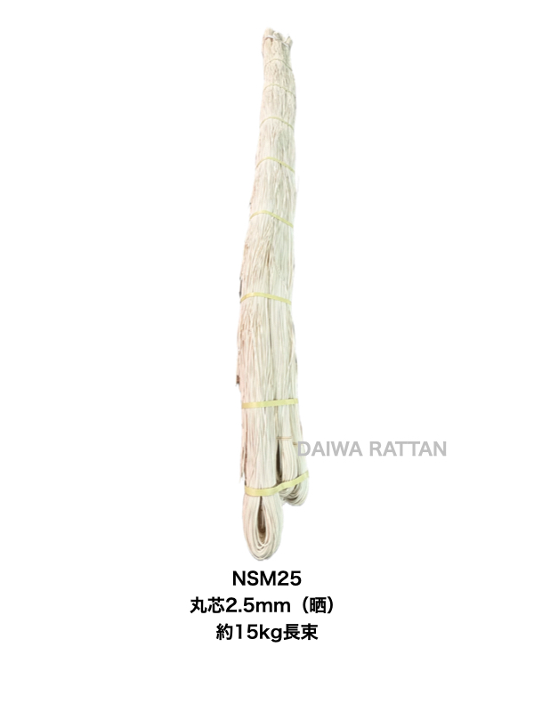 NSM25